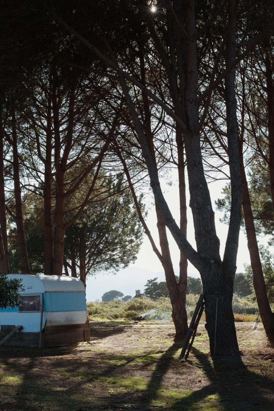 Caravane Janis On The Beach Lucciana (Corsica) Exterior foto